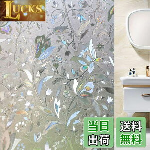 yzJuangfia  ߂V[g ptB ډBV[ ԕ fMV[g Uh~ UVJbg  C ֖ډB œ\ \Ă͂ hƃtB KXtB 