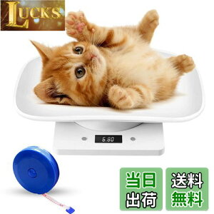 yzSmilerain ybg ̏dv  ̏dv ybgp ̏dv qL̑̏dv ^ybg L  ̏dv fW^ybg̏dv dqybg̏dv ^  |[^u qL p̏dv ybg