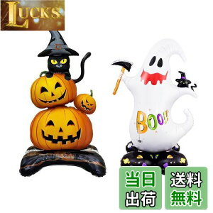 yzDFsucces nEB o[ 2 nEB  D ڂ S[Xg u  O  z[fR[Vp p[eB[ 