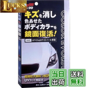 【送料無料】ソフト99(SOFT99) ワックス WAX カラーエボリューション ホワイト&ホワイトパール 自動車塗装面のキズ消し、保護及び艶出し用 保護手袋、専用拭き取りクロス2枚、専用スポンジ 005