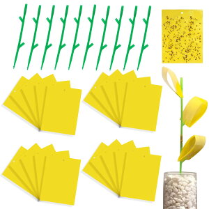 �y���������z�yBEAUTY PLAYER�z����� �S���V�[�g �ߒ��V�[�g �h���V�[�g 20�� �Q���ߊl�S���� �A�ؔ� �� �����g���b�v ���悯�v���[�g �X�e�B�b�L�[ �S���g���b�v �t���C���O �����X�e�B�b�L�[