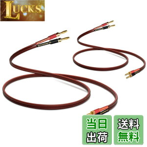 �y���������z�yUCINNOVATE�zOFC���_�f������ �X�s�[�J�[�P�[�u�� �o�i�i�v���O�t 2�{1�g �o�i�i�v���O���H�� �v���O �X�s�[�J�[ �P�[�u�� �����i 600�c(x2)���� Banana Plug�n���_�ς� �o�i�i�v���O 