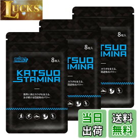 【送料無料】【3袋セット】KATSUO STAMINA カツサプ 1袋(8粒入)