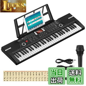 �y���������zHricane �L�[�{�[�h �s�A�m �d�q�s�A�m 61���� 200��މ��F 200��ރ��Y�� 60�ȃf���� LCD�f�B�X�v���C���� ���錮�� �y�� ���{��p�l�� �w�b�h�t�H���Ή� �q�� ���S�� ���K�p USB�P�[