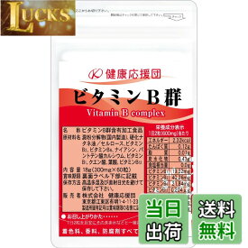 【送料無料】健康応援団 ビタミンB群 サプリ 管理栄養士監修 30日分 60粒 1袋 B1 B2 B6 B12 葉酸プラス 国産 日本製 粒タイプ 栄養補助食品