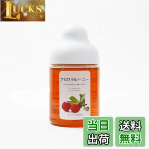 �y���������z���{�I�� �A�Z����&�n�j�[ 300g