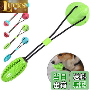 Canplus  ނ ̂̃[vŋzՍj ̋zՂ [vt zՕt ̉aRꂨ aꂨ ފߋ mߋ XgX ^s 