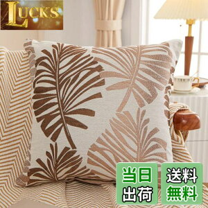 yzYunJeude NbVJo[ 45x45cm k 2Zbg Ȃƃl   t̕ WK[hD t@Xi[ CeA (45x45, R[q[)