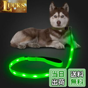 yzCandofly ˌ^ LED p[h - ÈłŌ錢p[h USB [dƖtp[vA4 tB[g̑ϋv̂ϐ_Ōp[hAybǧ̖̎Up ()