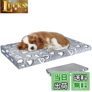 yzVANKEAN xbh ybgxbh ybg}bgX ӂӂ ^p ^p hCjO O\ @Ő􂦂 lG ʔN^Cv ƂT|[g CgO