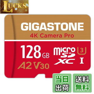 �y���������z�y5�N�f�[�^�����E���������zGIGASTONE �}�C�N��sd�J�[�h 128GB 4K Camera Pro microSDXC UHS-I A2 V30 U3 C10 100MB/s Ultra HD 4K �r�f�I�^�� Gopro �C���X�^360 �A�N�V�����J���� �X�|�[�c�J���� SD�A�_