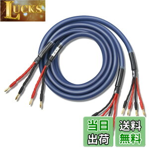 �y���������z�y�o�C���C���[�z WYVERN AUDIO �ɑ� �������x�� 12�c �o�i�i�v���O�t �����i HIFI �o�C���C�������O�ڑ� �o�C���C���[ �X�s�[�J�[�P�[�u�� 2�{1�g LR�Z�b�g �yWVA-04BW12�z �i�u���[�j 2.
