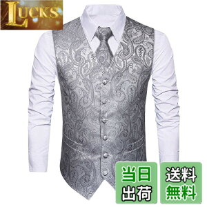 �y���������z[HISDERN] �V���o�[ �x�X�g ������ �����Y �t�H�[�}�� �r�W�l�X �X�[�c �x�X�g �X���� V�l�b�N �傫���T�C�Y �j�� �畞 XS V3-01
