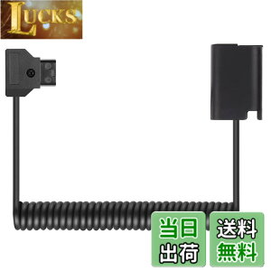 �y���������zRaeisusp D-Tap-DCC12 DMW-BLF19 D-Tap-DCC17 DMW-BLK22 �_�~�[�d�r �d���P�[�u�� LUMIX DMC-GH3 GH4 GH5 GH5II GH5S GH6L DC-S5K S5GK G9