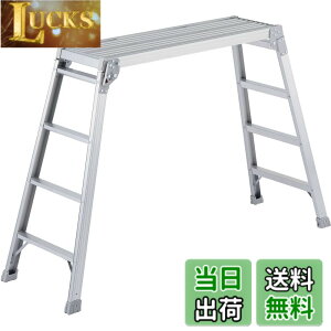 �y���������z���J��H��(Hasegawa) ����� DRX-1098c (0.98m) (17683)