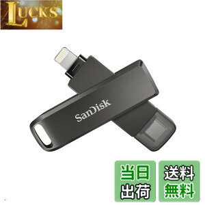 �y���������zSanDisk TYPE-C SDIX70N-256G-GN6NE Lightnig Flash