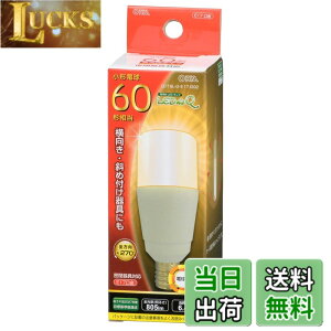 �y���������zLED�d�� T�` E17 60�`���� �d���F LDT6L-G-E17 IG92 06-3739 OHM �I�[���d�@