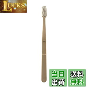 �y���������zJordan �W���[�_�� GREEN CLEAN �O���[���N���[�� ���u���V ����l�p�� �T�C�Y�F�P�i�i�x�[�W���j
