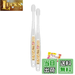 �y���������z�y�����₷�� �R���p�N�g�w�b�h�z ��[�ɍז� �o���_�C Clear Brush Premium �N���A�u���V�v���~�A�� ���̃J�[�r�B ���u���V�y2�{�Z�b�g�z �F�F�N���A