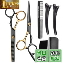 楽天市場】美容 ハサミ ゴールドの通販
