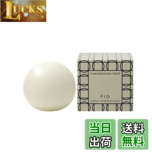 �y���������z�^�}�m�n�_ �\�[�v 005 �t�B�O 125g �F�F�I�t�z���C�g�A�T�C�Y�F125�O���� (x 1)