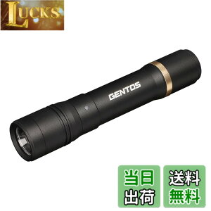 �y���������zGENTOS(�W�F���g�X) �����d�� LED���C�g �[�d�� 200~900���[���� ���N�V�[�h RX-285R/RX-286R/RX-304R/RX-386R/RX-486PB �F�F�u���b�N�A�T�C�Y�F���a30.1x150.4mm