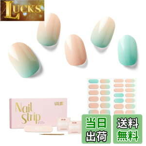 �y���������zNAILOG�l�C���V�[���d���^�C�v�i34���j�A �O���f�[�V���� ���d���W�F���l�C���V�[�� �A�T�����N�I���e�B�[ �F�FNew Dawn