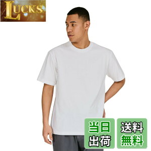 �y���������zHanes �r�[�t�B�[ T�V���c�r�[�t�B�[ T�V���c BEEFY-T 1���g ��100% �������n �w�r�[�E�F�C�gT H5180�����Y �F�F�z���C�g�A�T�C�Y�FL