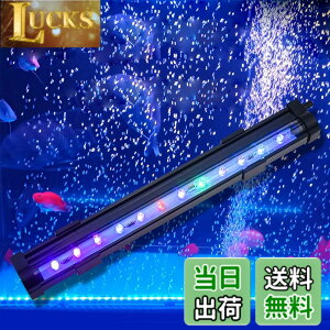 �y���������z���� ���C�g ���^ LED �C�A���C�g �A�N�A���E�����C�g �~�j �������C�g �M�ы����C�g ������ RGB �����ِ����p�Ɩ� ���� �_�f�⋋ �Ϗ܋� �M�ы����� �����琬 IP68�h�� ���P�x ��