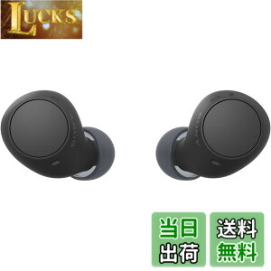 �y���������z�\�j�[(SONY) ���S���C�����X�C���z�� WF-C500/WF-C510 :/�����x�ʘb�i��/IPX4�h�H���\ �F�F�u���b�N�A�T�C�Y�F���^�y��