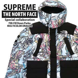 Vi Vv[ SUPREME x U m[XtFCX THE NORTH FACE 700-Fill Down Parka _E WPbg MULTICOLOR DRAGON Y OUTER
