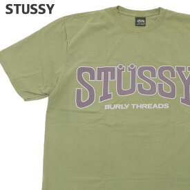 正規品・本物保証 新品 ステューシー STUSSY BURLY THREADS PIG.DYED TEE Tシャツ メンズ レディース スケート ストリート エイトボール ストックロゴ ストゥーシー スチューシー 半袖Tシャツ