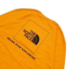 新品THENORTHFACEL/SREDBOXHEAVYWEIGHTCREWロンティー長袖TシャツZINNIAORANGEBLACKオレンジブラックメンズ999005940058