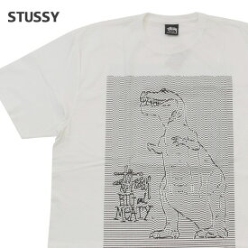 【月間優良ショップ7度受賞】 新品 ステューシー STUSSY DOTS LOOPS TEE Tシャツ WHITE ホワイト メンズ 新作