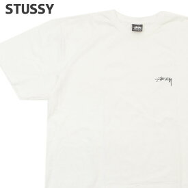 【月間優良ショップ7度受賞】 新品 ステューシー STUSSY SMOOTH STOCK PIG DYED TEE Tシャツ メンズ 新作 スケート ストリート エイトボール ストックロゴ ストゥーシー スチューシー