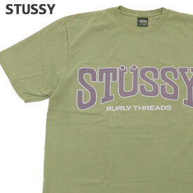 【月間優良ショップ7度受賞】 新品 ステューシー STUSSY BURLY THREADS PIG.DYED TEE Tシャツ メンズ レディース スケート ストリート エイトボール ストックロゴ ストゥーシー スチューシー