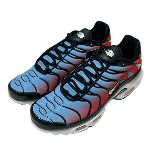 Vi iCL NIKE WMNS AIR MAX PLUS GA}bNXvX HF5386-001 }bv BLACK/METALLIC SILVER Y 29.0cm