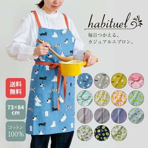 Gv ۈm 킢 fB[X Lb` O ̓ hV̓ Ar`A habituel v[g wp[ C [JX Ob^ A x[ obNNX