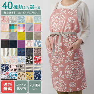 Gv ۈm fB[X Lb` G i` O | Vv V[g Rbg  ߗ Ǝ   ̓ hV̓ ʔ obNNX