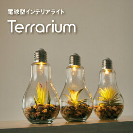 電球型インテリアライト Terrarium テラリウム 照明 ライト テーブルライト フェイクグリーン 押すだけ 温かみ 雰囲気 存在感 省スペース コンパクト 電池式 アクセント ワンポイント 明るい 癒し インテリア おしゃれ かわいい 植物 電球 アンファンス En Fance