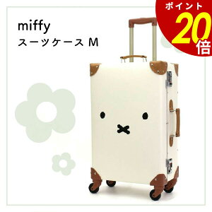y9/24 159܂ōőP20{zmiffy X[cP[X M tFCXi` ~btB[ gN L[ L[P[X 36L bNt s o AEghA o   CO @ _C