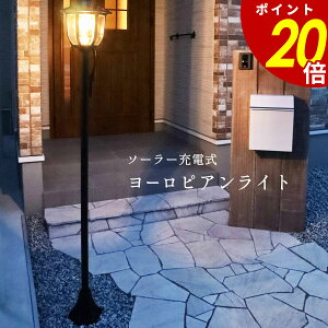 y12/9 2359܂ōőP20{z\[[ [d [sAK[fCg [bp [sACg K[fCg Cg_ ƓxZT[ X O h [bp  