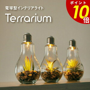 y12/9 2359܂ōőP20{zd^ Cg Terrarium eE Ɩ Cg e[uCg tFCNO[   ͋C ݊ ȃXy[X RpNg dr 邢 A d