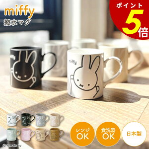 y10/30 0:00`11/1 23:59܂ōőP20{z~btB[ }O }OJbv }bg pXe ݃J[ H R[q[ g eB[^C ItBX  u[i LN^[ 킢 miffy