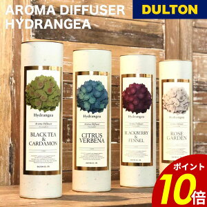 y10/30 0:00`11/1 23:59܂ōőP20{zA}fBt[U[ nChWA [hfBt[U[ _g DULTON[tOX    bNX {bNX AJ