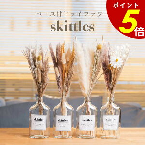 y10/30 0:00`11/1 23:59܂ōőP20{zx[XthCt[skittles Dryflower vase hCt[ ԕrZbg KX ԑ u[P ԍ  킢 a v[g Mtg CeA