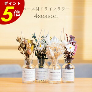 y11/30 0:00`12/1 23:59܂ōőP20{zx[XthCt[4season Dryflower vase hCt[ ԕrZbg KX ԑ u[P ԍ  킢 a v[g Mtg CeA 