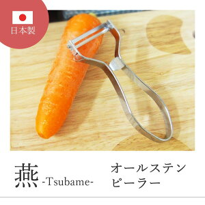 y11/15 0:00`11/16 23:59܂5%OFFz I[Xes[[ TBM-06 Lb`pi  lQ WKC t Trɂ ֗ s[[  Vv { S  q Xs[hA