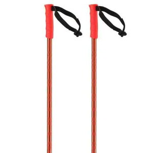 �T������ �n�b�J�[ �|�[�� �i Orange �j | SALOMON Hacker Poles [t]