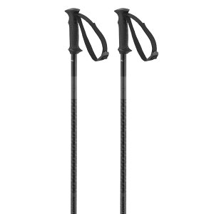 �T������ �|�[���[ �A�N�Z�X �|�[�� �i Black �j | SALOMON Polar Access Poles [t]